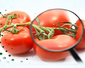 ISO 22000 Gıda Güvenliği Yönetim Sistemi Dökümantasyon Eğitimi ISO 22000 Gıda Güvenliği Yönetim Sistemi Dökümantasyon Eğitimi