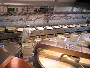 ISO 22000 Gıda Güvenliği Yönetim Sistemi Temel Eğitimi